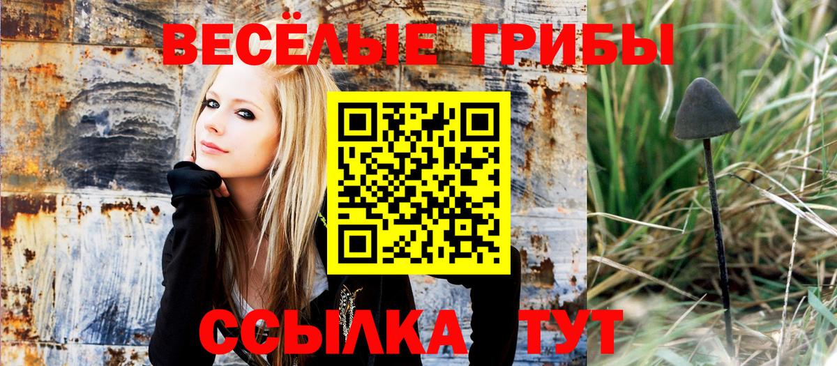 Галлюциногенные грибы ЛСД Ногинск