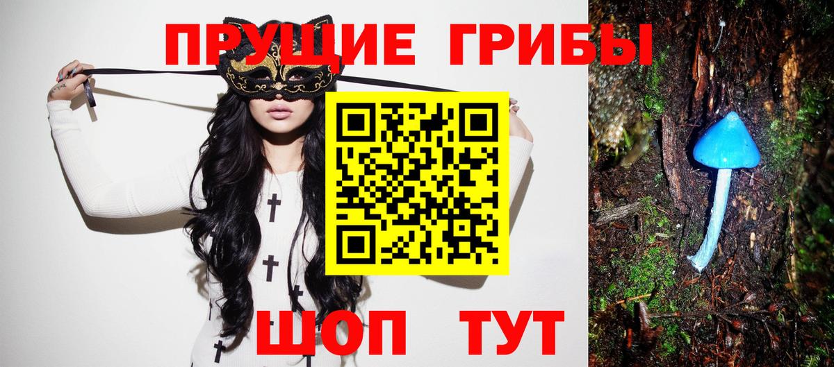 Галлюциногенные грибы Magic Shrooms  Галлюциногенные грибы GOLDEN TEACHER  Ногинск  Вход с VPN 